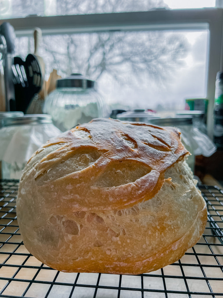 Dehydrated Sourdough Starter