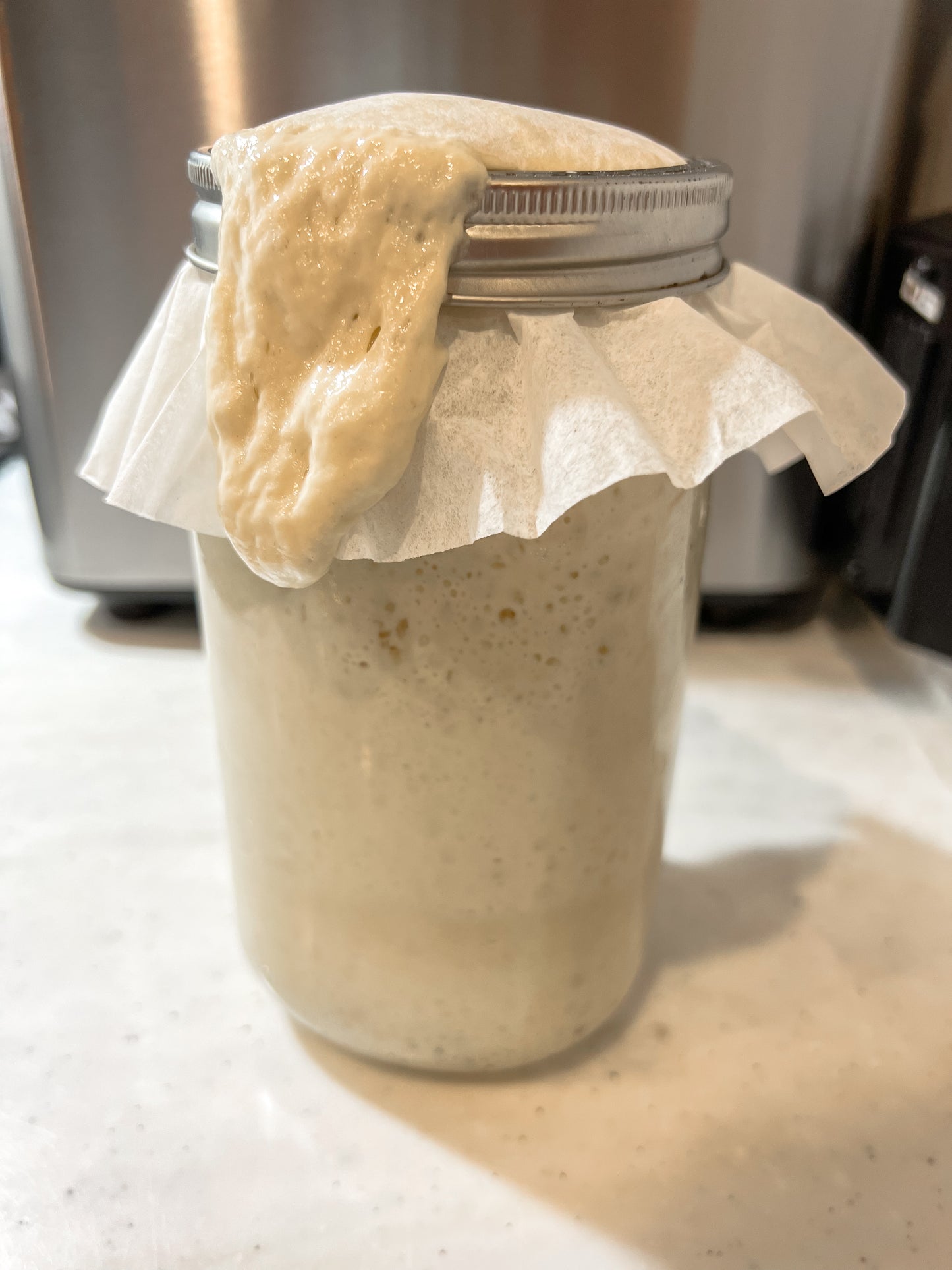 Dehydrated Sourdough Starter