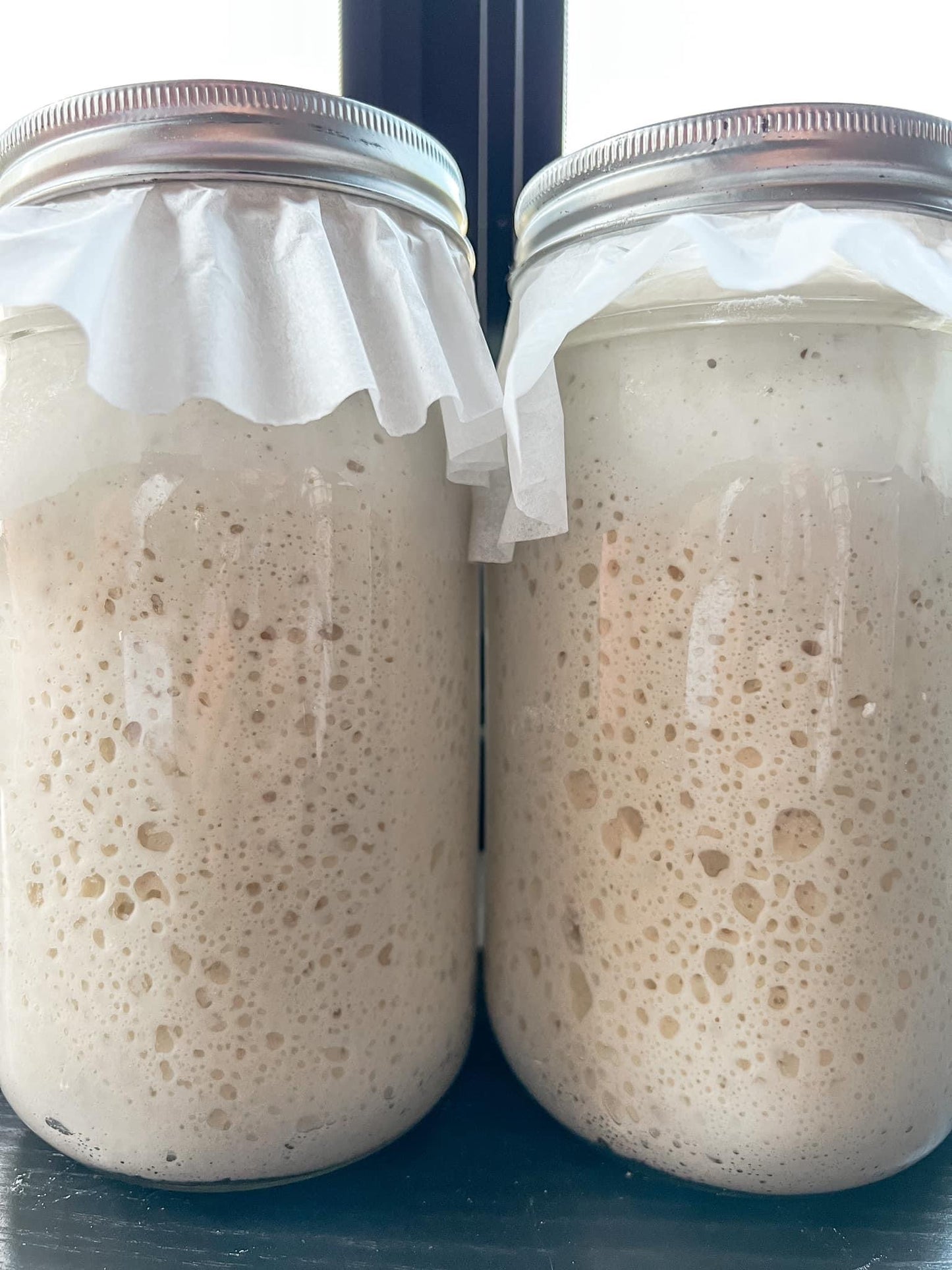 Dehydrated Sourdough Starter