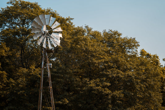 Welcome to Windblume Farms: Where Flowers, Food, & Community Grow Together