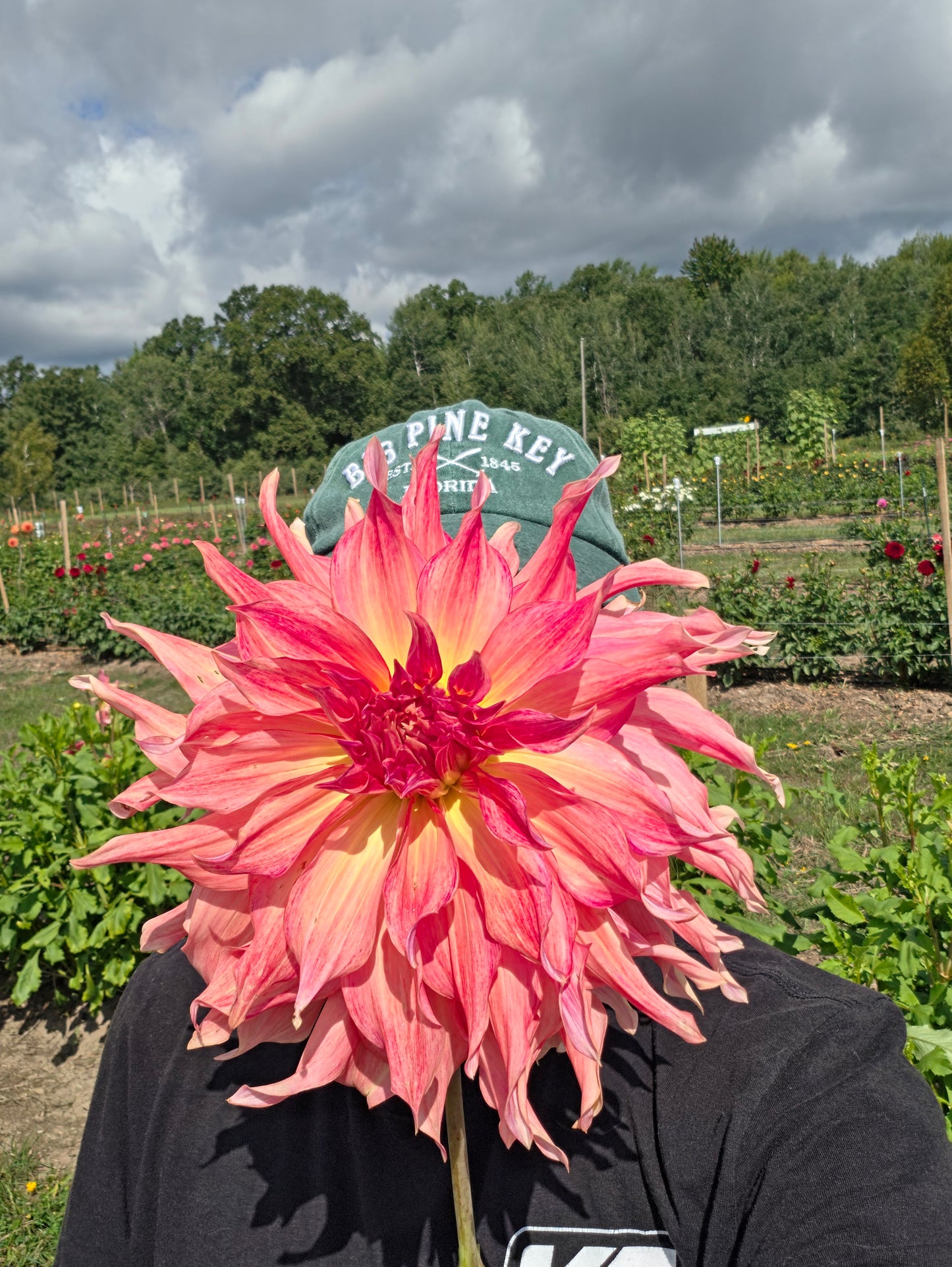 Penhill Watermelon