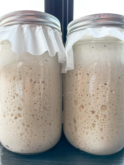 Dehydrated Sourdough Starter